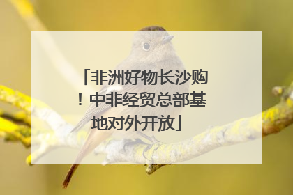 非洲好物长沙购！中非经贸总部基地对外开放