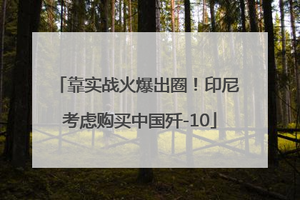 靠实战火爆出圈！印尼考虑购买中国歼-10
