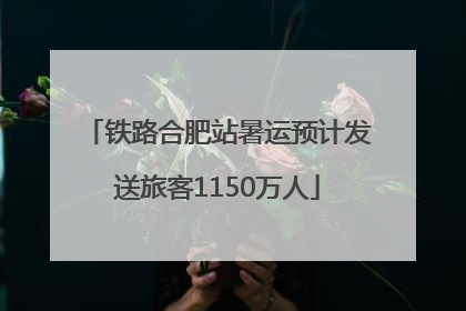 铁路合肥站暑运预计发送旅客1150万人