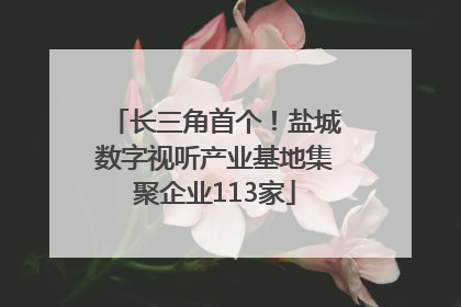 长三角首个！盐城数字视听产业基地集聚企业113家