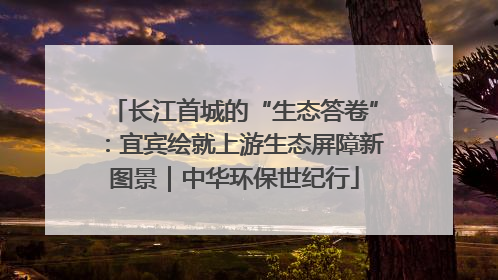 长江首城的“生态答卷”：宜宾绘就上游生态屏障新图景｜中华环保世纪行