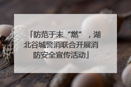 防范于未“燃”，湖北谷城警消联合开展消防安全宣传活动