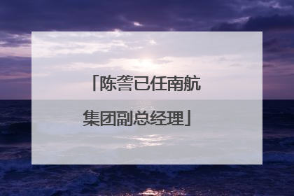 陈詟已任南航集团副总经理
