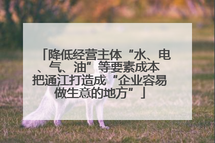 降低经营主体“水、电、气、油”等要素成本 把通江打造成“企业容易做生意的地方”
