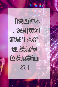 陕西神木：深耕黄河流域生态治理 绘就绿色发展新画卷