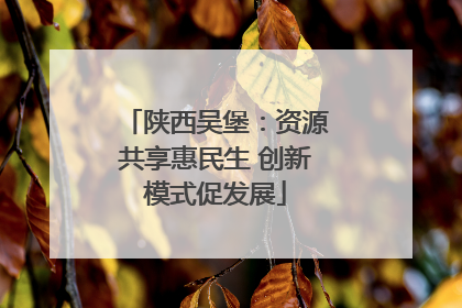 陕西吴堡：资源共享惠民生 创新模式促发展