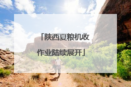 陕西夏粮机收作业陆续展开