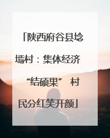陕西府谷县埝墕村：集体经济“结硕果” 村民分红笑开颜