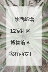 陕西新增12家社区博物馆 3家在西安