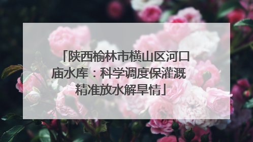 陕西榆林市横山区河口庙水库：科学调度保灌溉 精准放水解旱情