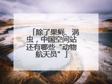 除了果蝇、涡虫，中国空间站还有哪些“动物航天员”