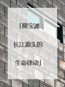 隆宝滩：长江源头的生命律动