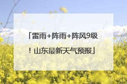 雷雨+阵雨+阵风9级！山东最新天气预报