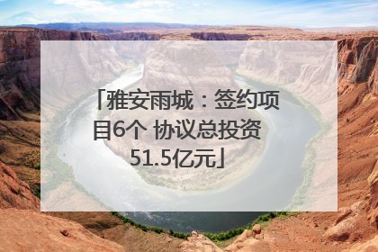 雅安雨城：签约项目6个 协议总投资51.5亿元