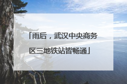 雨后，武汉中央商务区三地铁站皆畅通