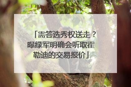 需答选秀权送走？曝绿军明确会听取霍勒迪的交易报价