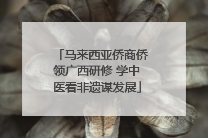 马来西亚侨商侨领广西研修 学中医看非遗谋发展