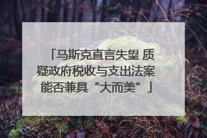 马斯克直言失望 质疑政府税收与支出法案能否兼具“大而美”