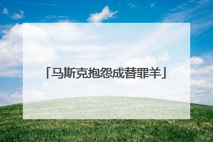 马斯克抱怨成替罪羊