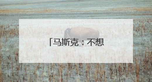 马斯克：不想为美政府所做的一切承担责任