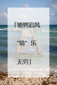 驰骋追风 “骑”乐无穷