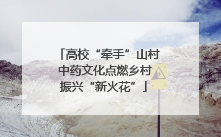 高校“牵手”山村 中药文化点燃乡村振兴“新火花”