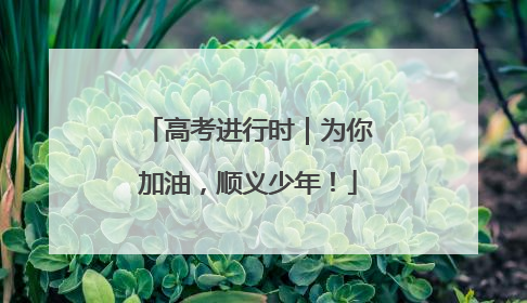 高考进行时｜为你加油，顺义少年！