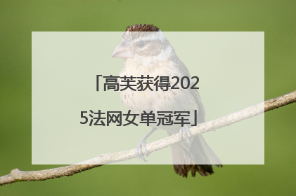 高芙获得2025法网女单冠军