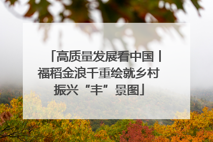 高质量发展看中国丨福稻金浪千重绘就乡村振兴“丰”景图