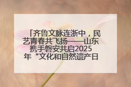 齐鲁文脉连浙中，民艺青春共飞扬——山东携手磐安共启2025年“文化和自然遗产日”系列活动