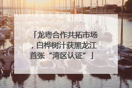 龙粤合作共拓市场，白桦树汁获黑龙江首张“湾区认证”