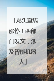龙头直线涨停！两部门发文，涉及智能机器人
