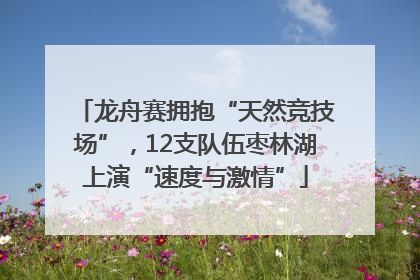 龙舟赛拥抱“天然竞技场”，12支队伍枣林湖上演“速度与激情”