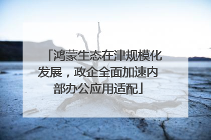 鸿蒙生态在津规模化发展，政企全面加速内部办公应用适配