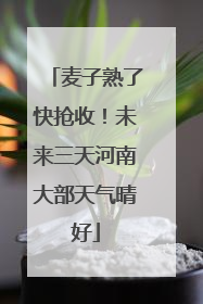 麦子熟了快抢收！未来三天河南大部天气晴好