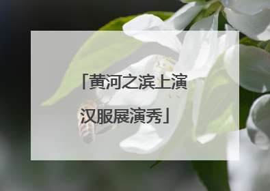 黄河之滨上演汉服展演秀