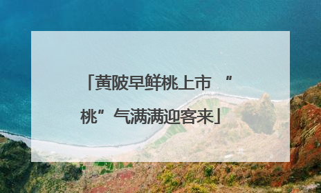 黄陂早鲜桃上市 “桃”气满满迎客来
