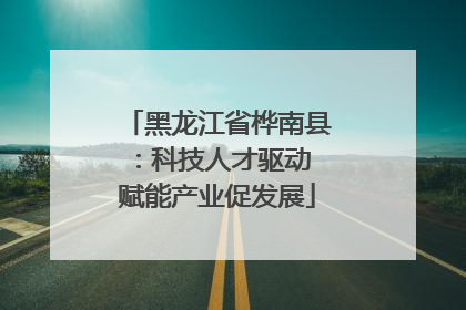 黑龙江省桦南县：科技人才驱动 赋能产业促发展