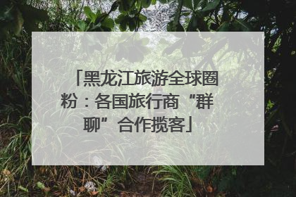 黑龙江旅游全球圈粉：各国旅行商“群聊”合作揽客