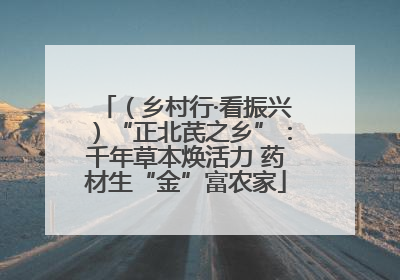 （乡村行·看振兴）“正北芪之乡”：千年草本焕活力 药材生“金”富农家