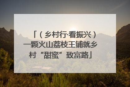 （乡村行·看振兴）一颗火山荔枝王铺就乡村“甜蜜”致富路