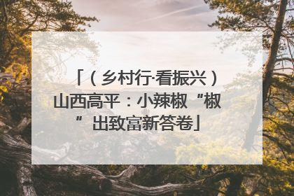 （乡村行·看振兴）山西高平：小辣椒“椒”出致富新答卷