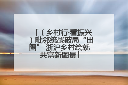 （乡村行·看振兴）毗邻统战破局“出圈” 浙沪乡村绘就共富新图景