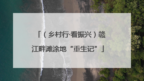 （乡村行·看振兴）赣江畔滩涂地“重生记”