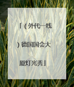 （外代一线）德国国会大厦灯光秀