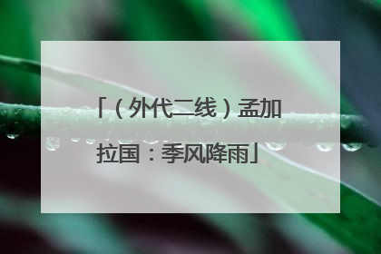 （外代二线）孟加拉国：季风降雨