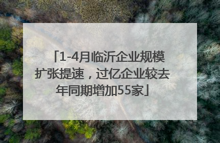 1-4月临沂企业规模扩张提速，过亿企业较去年同期增加55家
