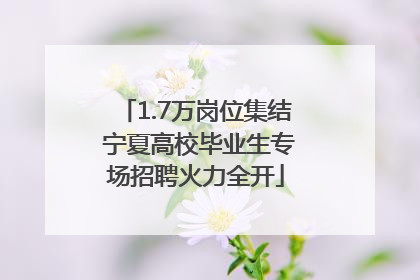 1.7万岗位集结 宁夏高校毕业生专场招聘火力全开