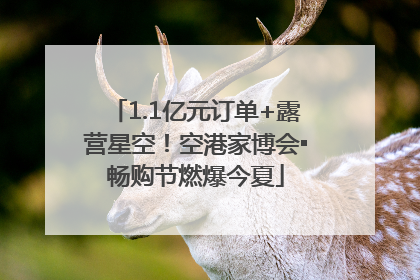1.1亿元订单+露营星空！空港家博会▪畅购节燃爆今夏