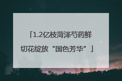 1.2亿枝菏泽芍药鲜切花绽放“国色芳华”